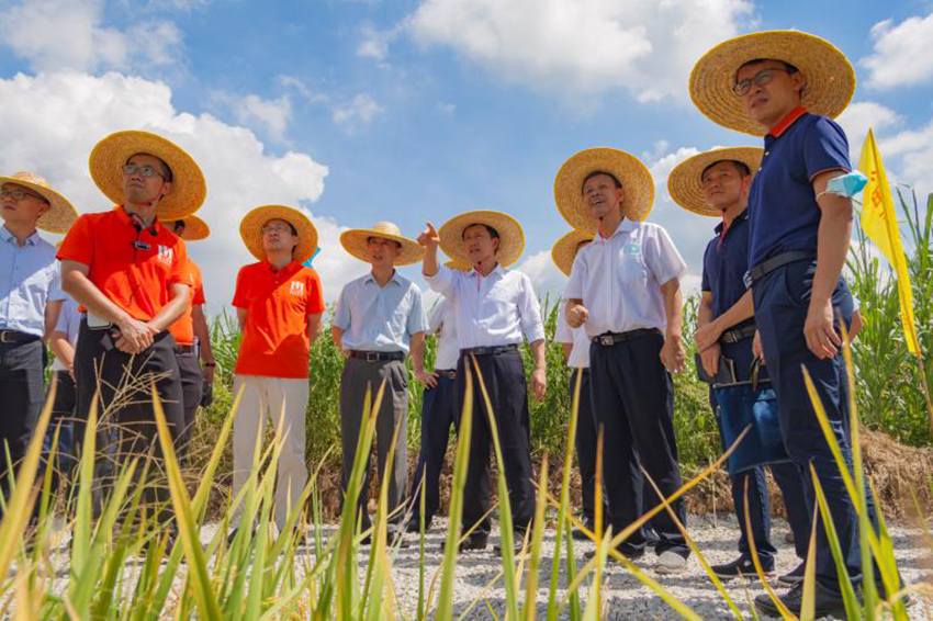 領(lǐng)導(dǎo)視察項(xiàng)目實(shí)施指導(dǎo)工作