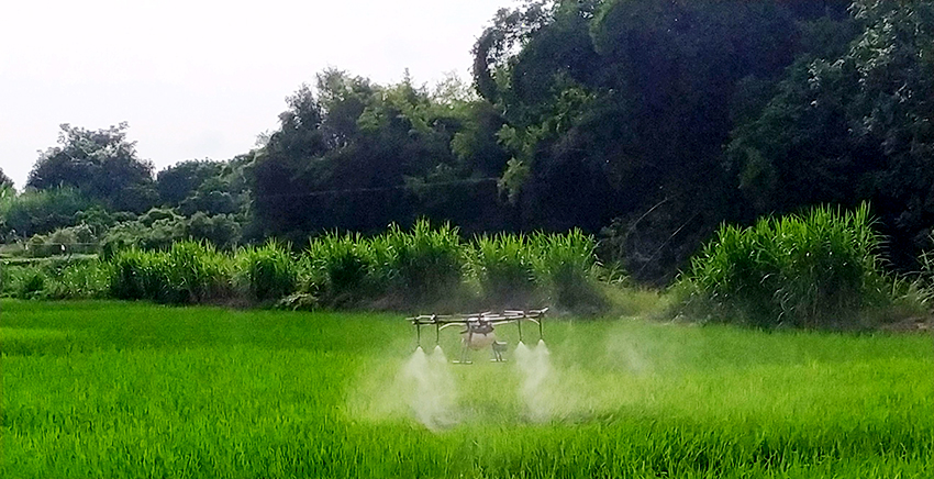 開化縣無人機(jī)噴施項(xiàng)目
